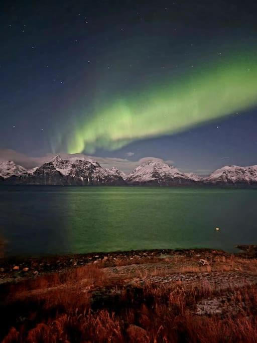 Lyngenfjord view