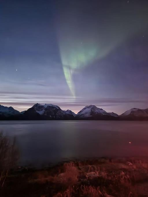 Lyngenfjord view