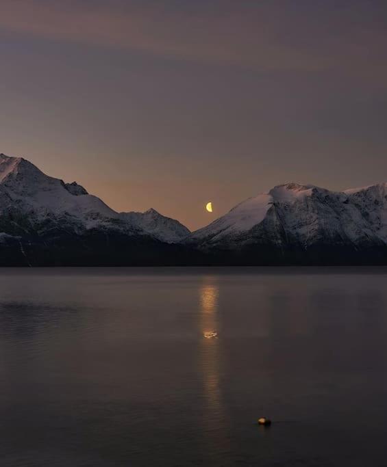 Lyngenfjord view