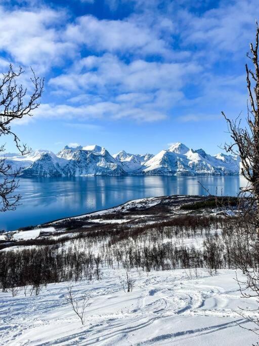 Lyngenfjord view