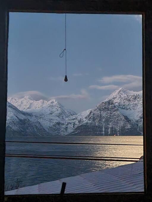 Lyngenfjord view