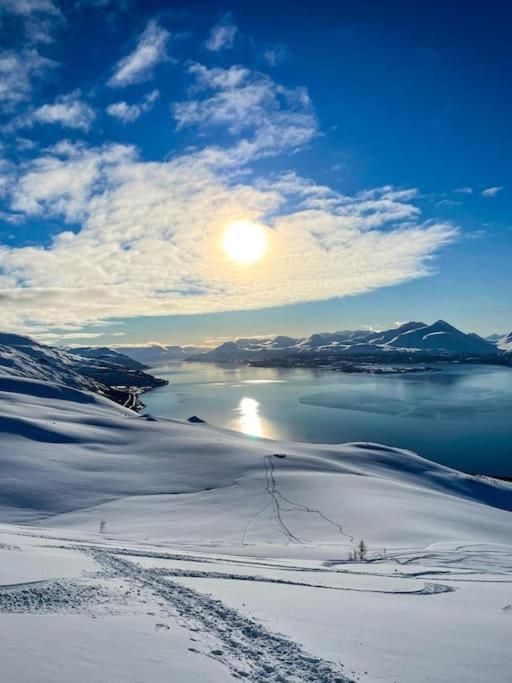 Lyngenfjord view