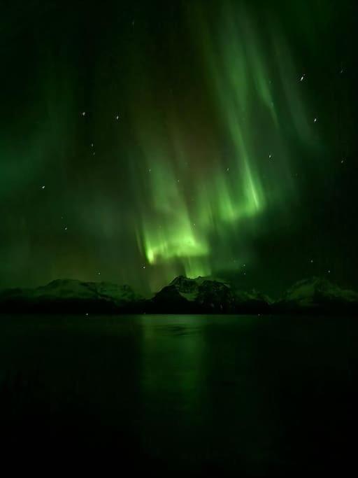 Lyngenfjord view