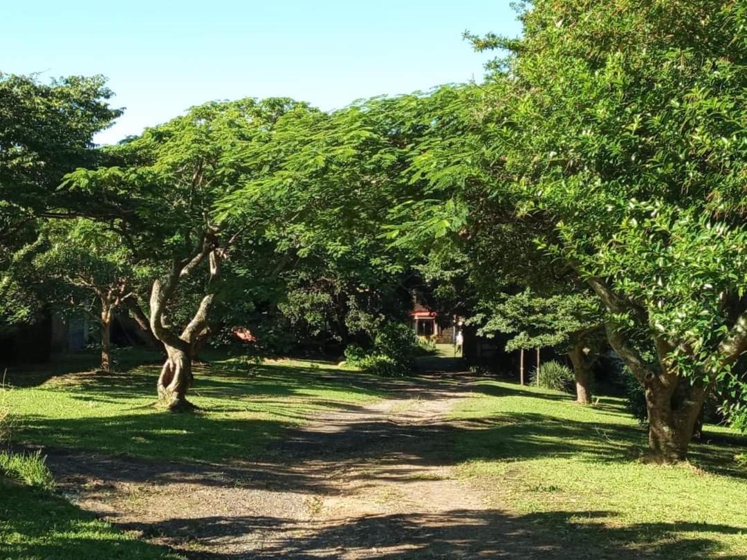 Casa Ariel - River Lodge view 2