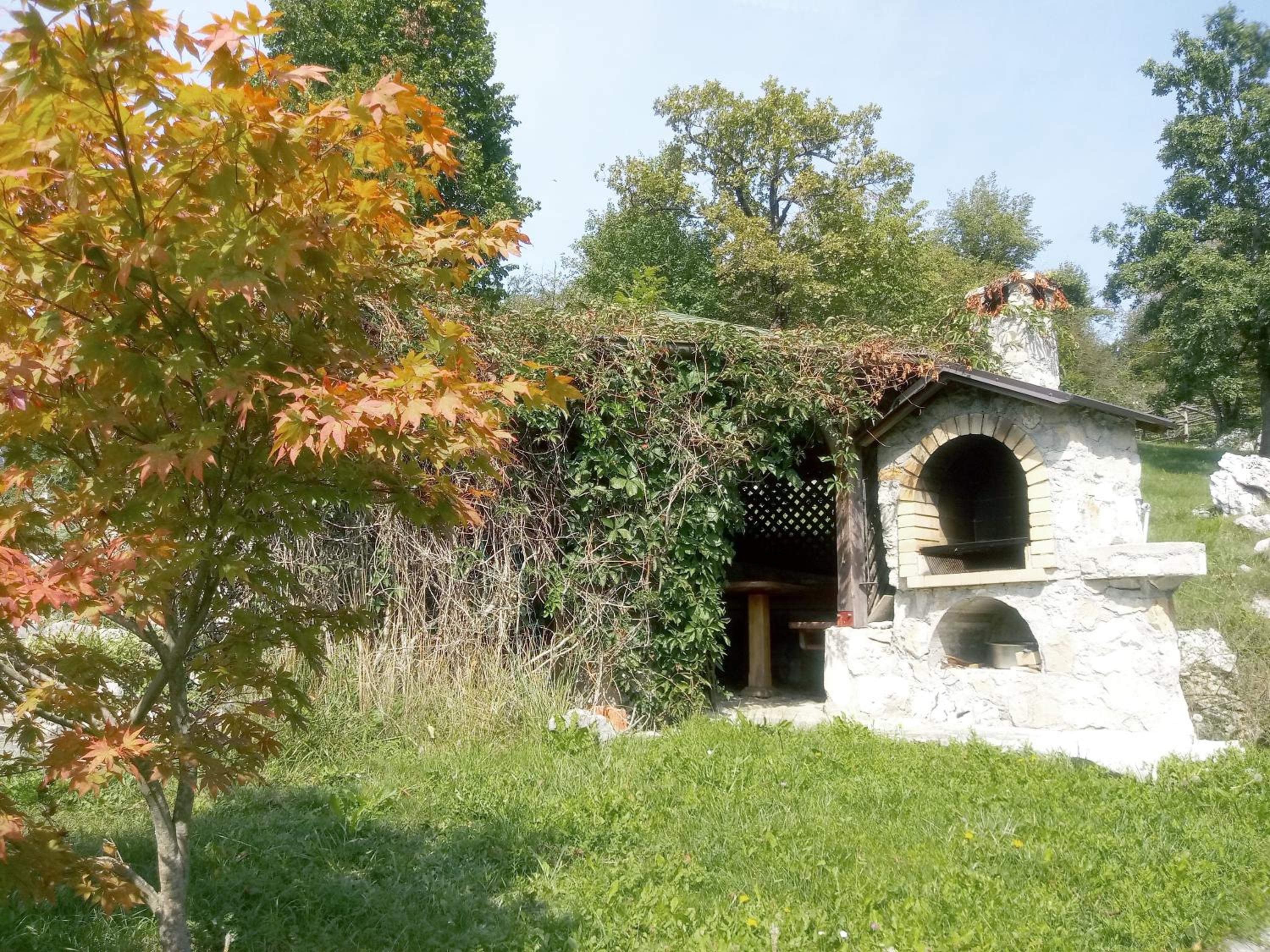 Photo 11