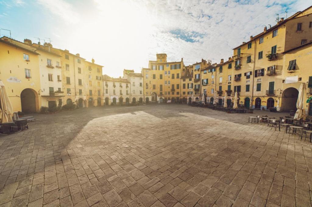 Kododo in Tuscany Lucca photo 4