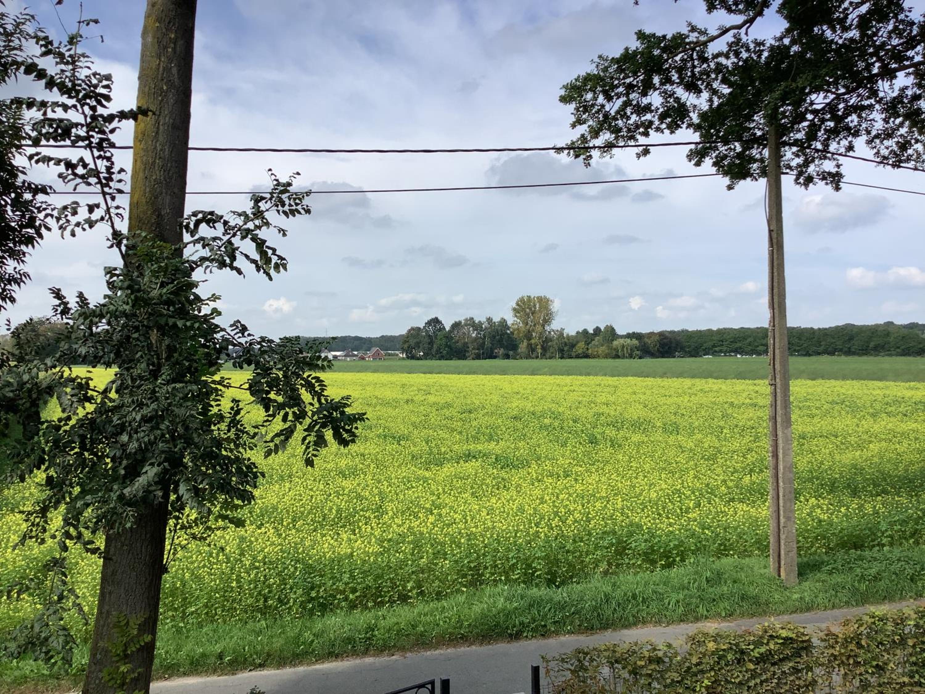Vakantiewoningeikenhof