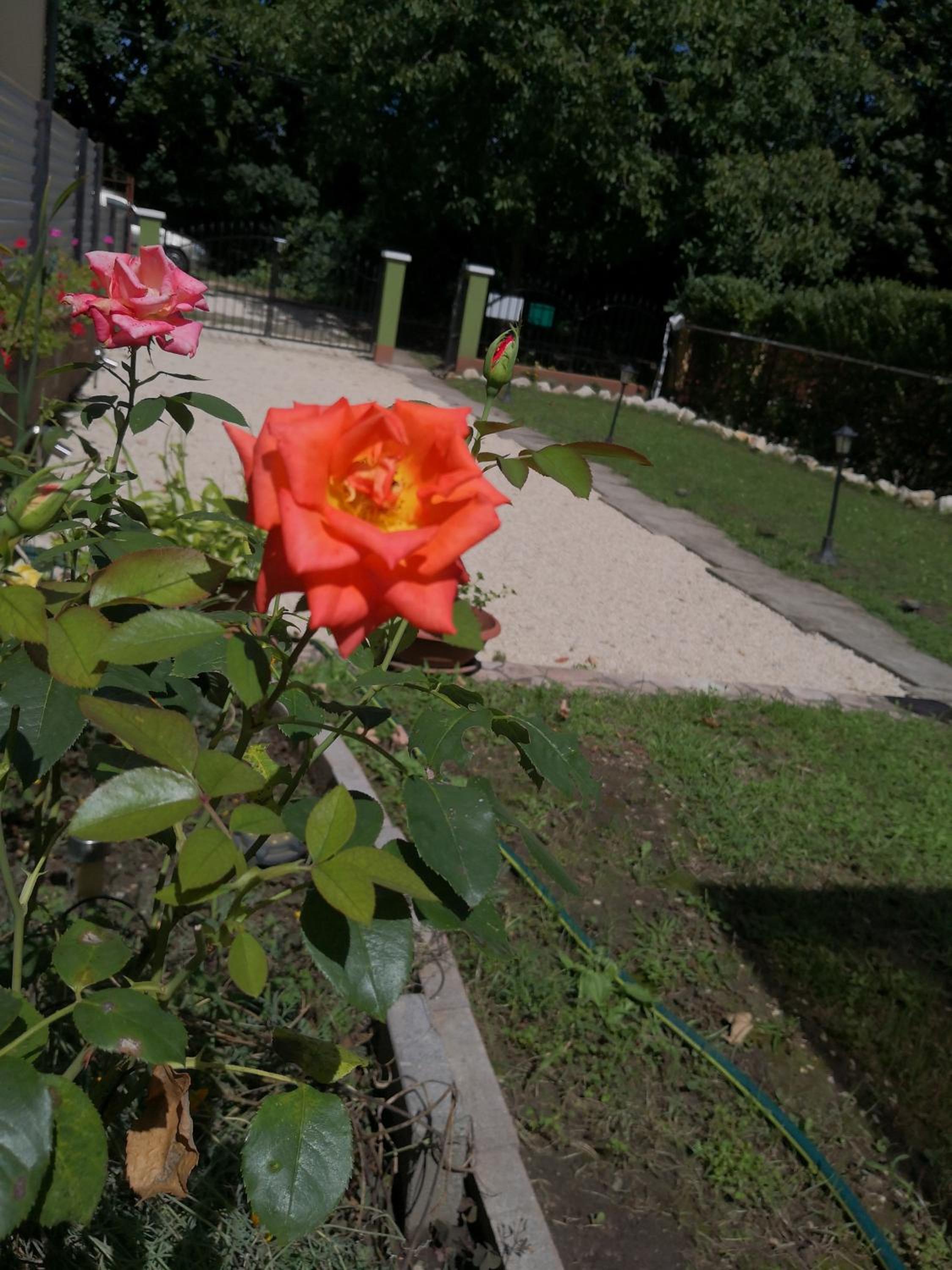 FIÓNA KUNYHÓJA APARTMANHÁZ