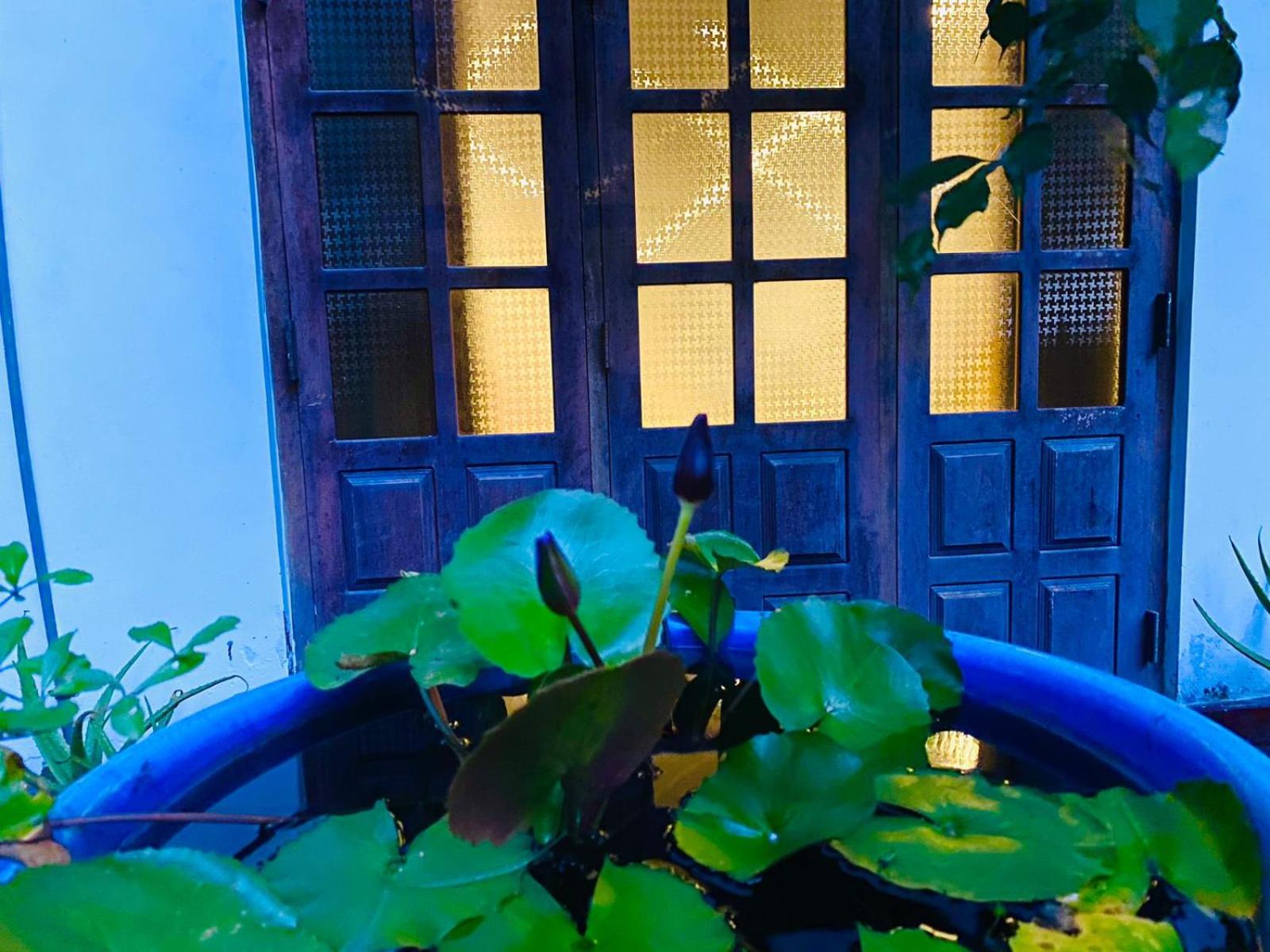 Sachi's place