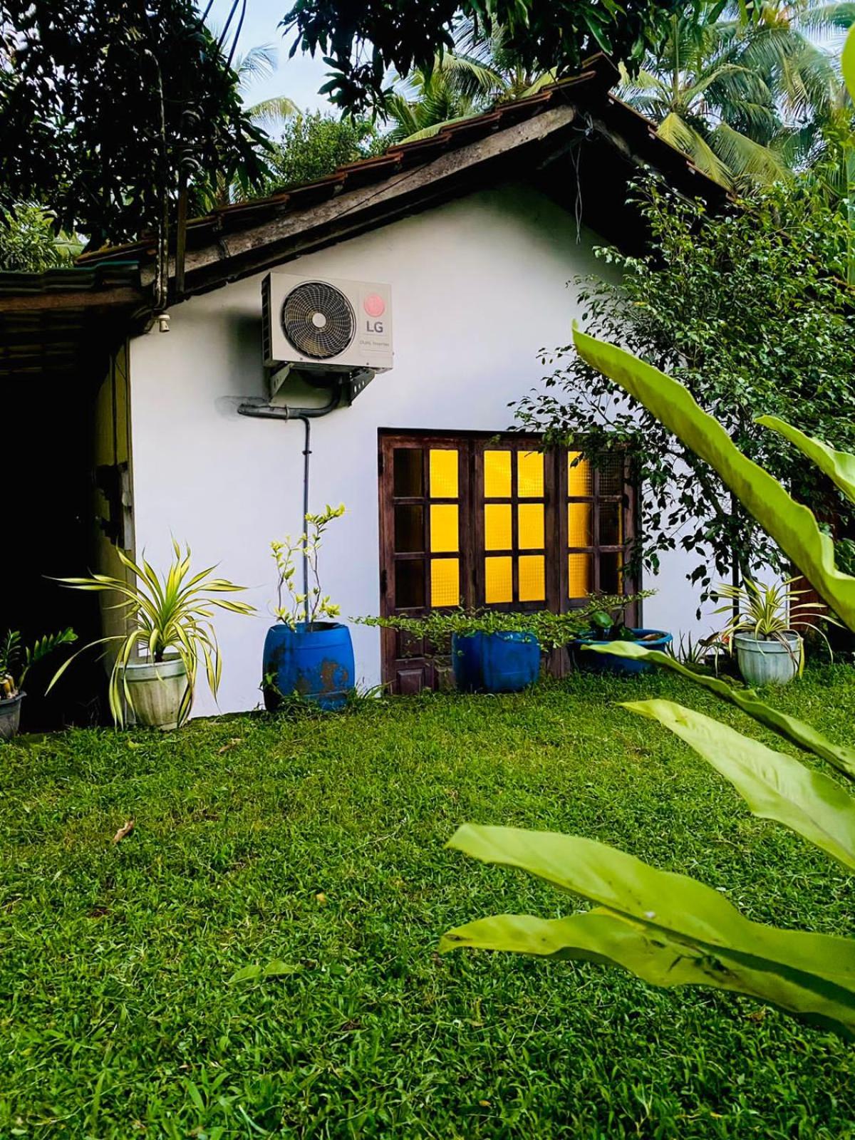 Sachi's place