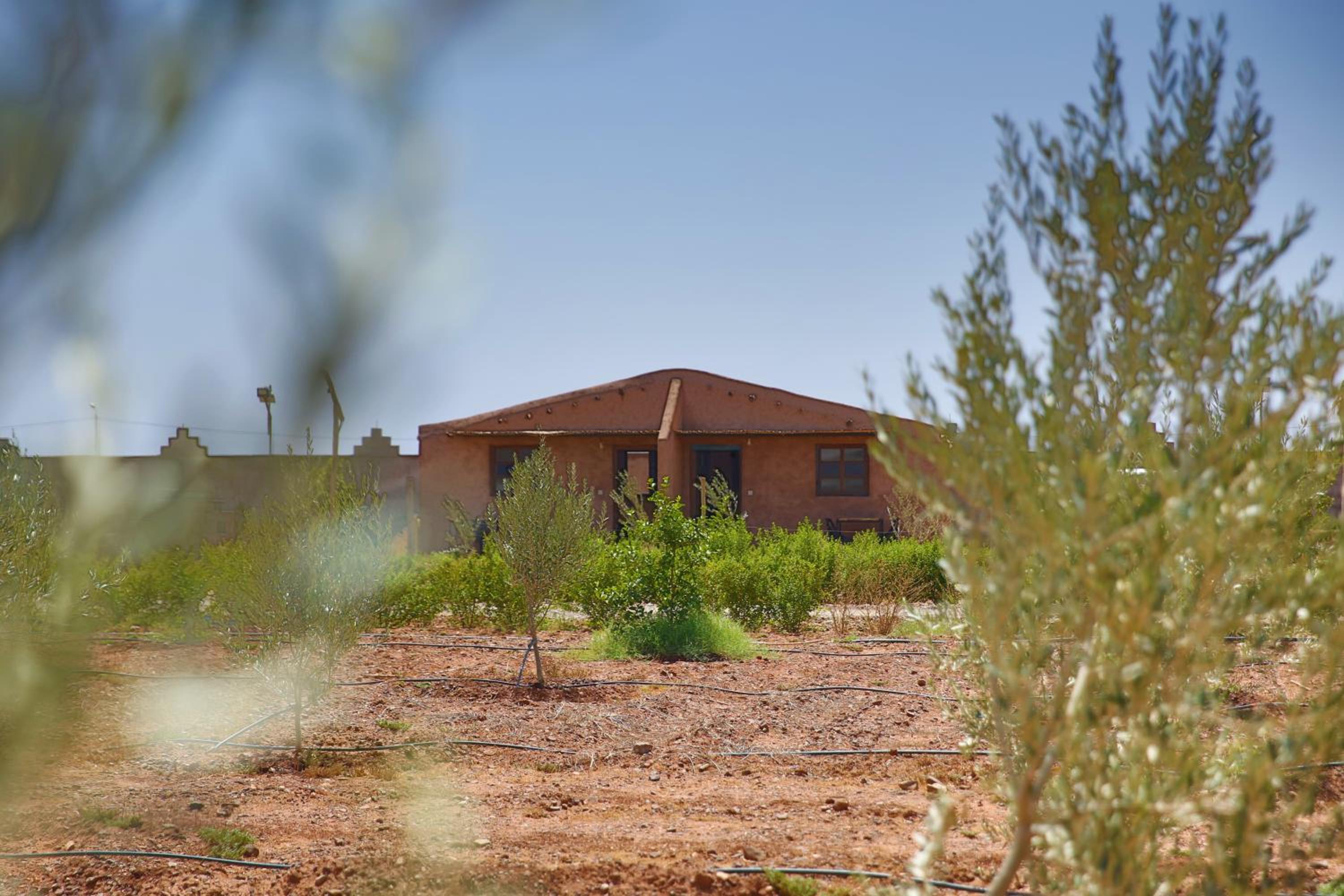 Dar Koujane Petite maison isolée avec piscine privée