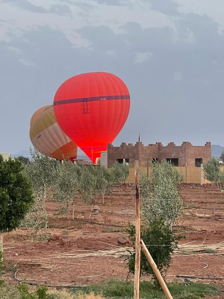 Dar Koujane Petite maison isolée avec piscine privée