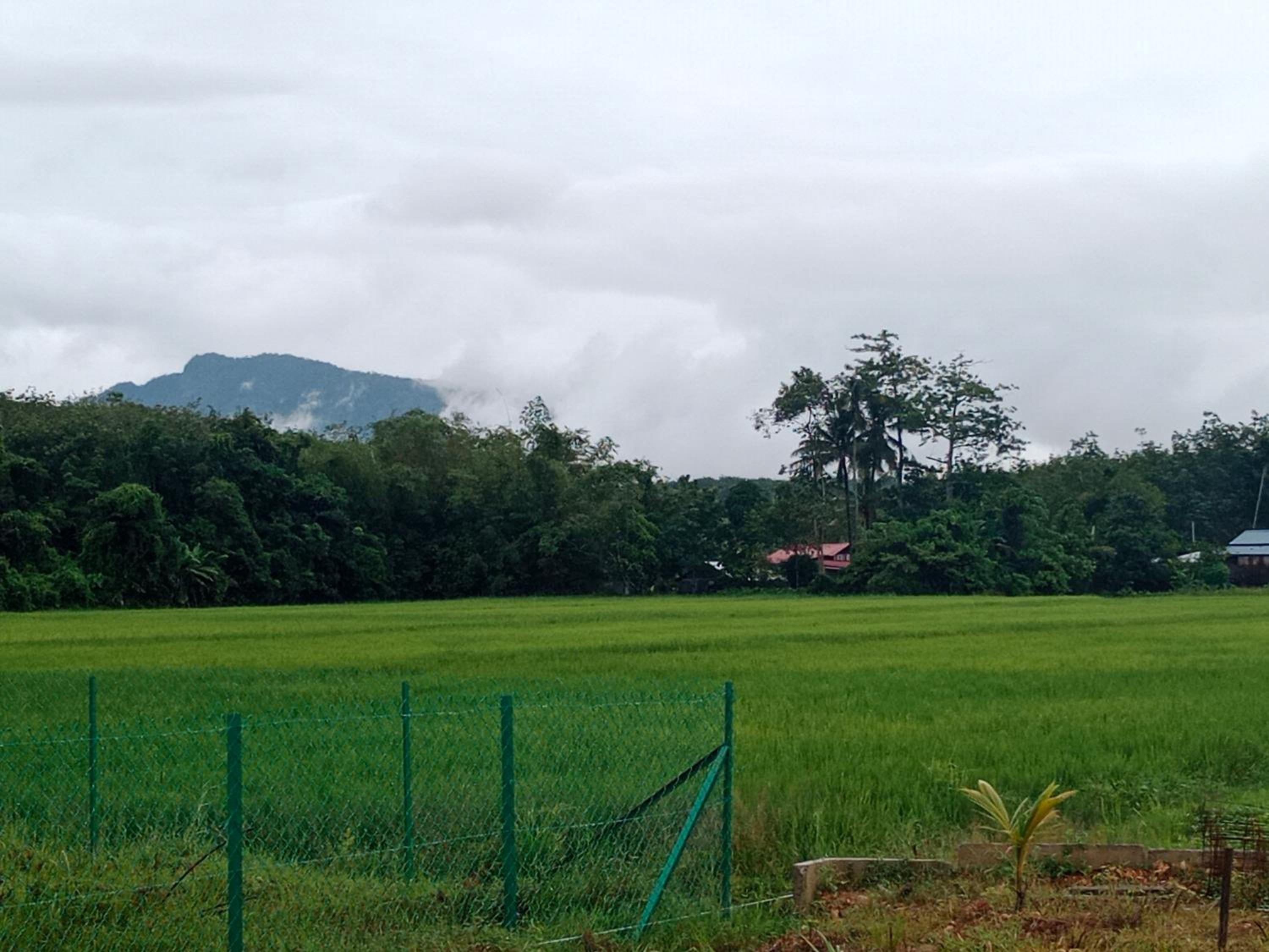De Hampar Homestay view 2