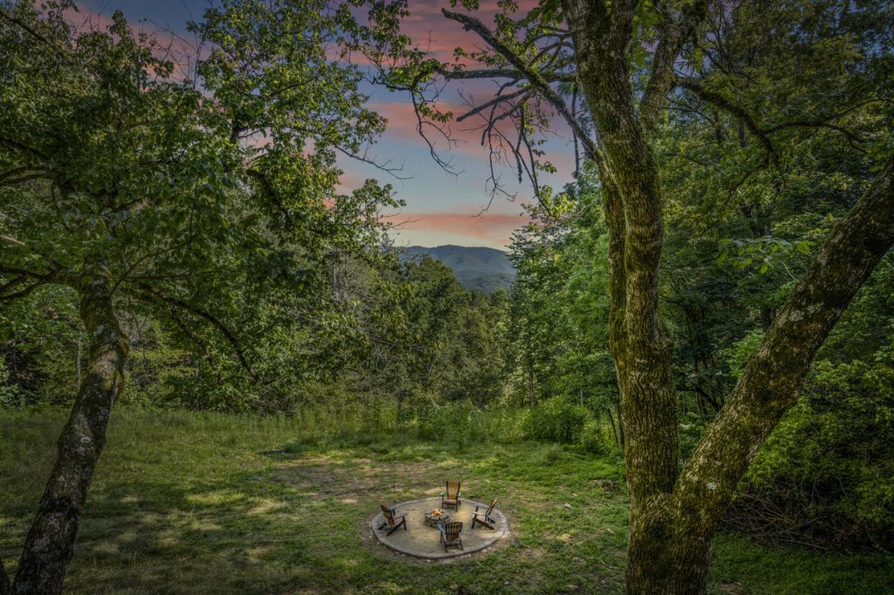 Hidden Forest Spa Sauna Nature Secluded 93 acres view 4