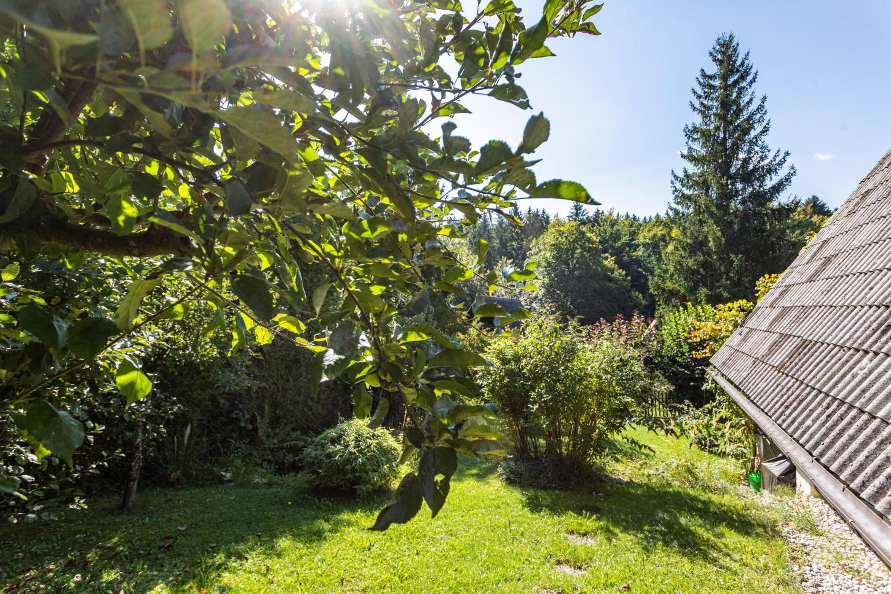 Charmantes Ferienhaus mit Garten