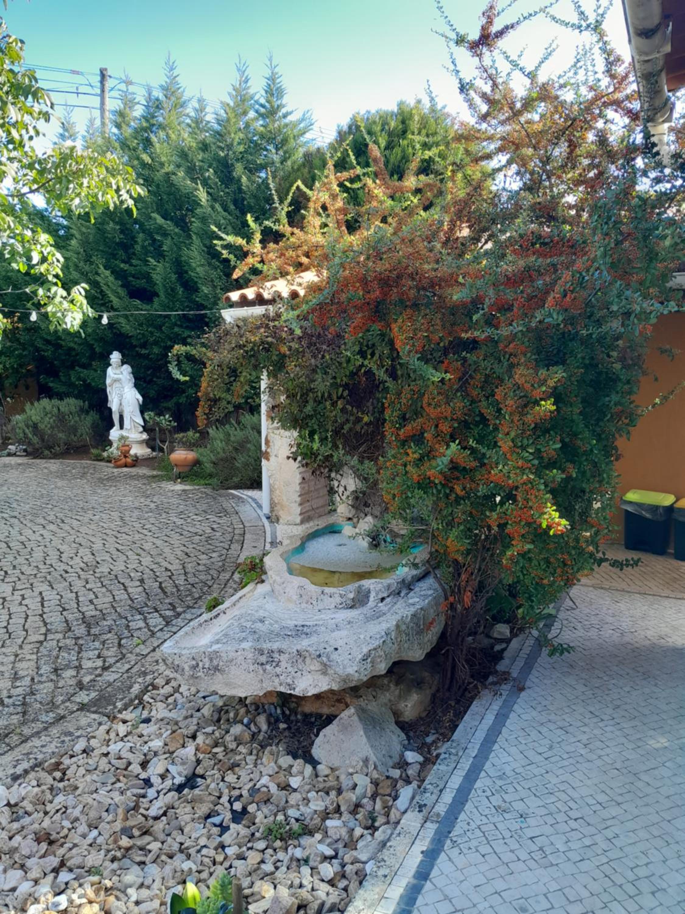 Photo 56