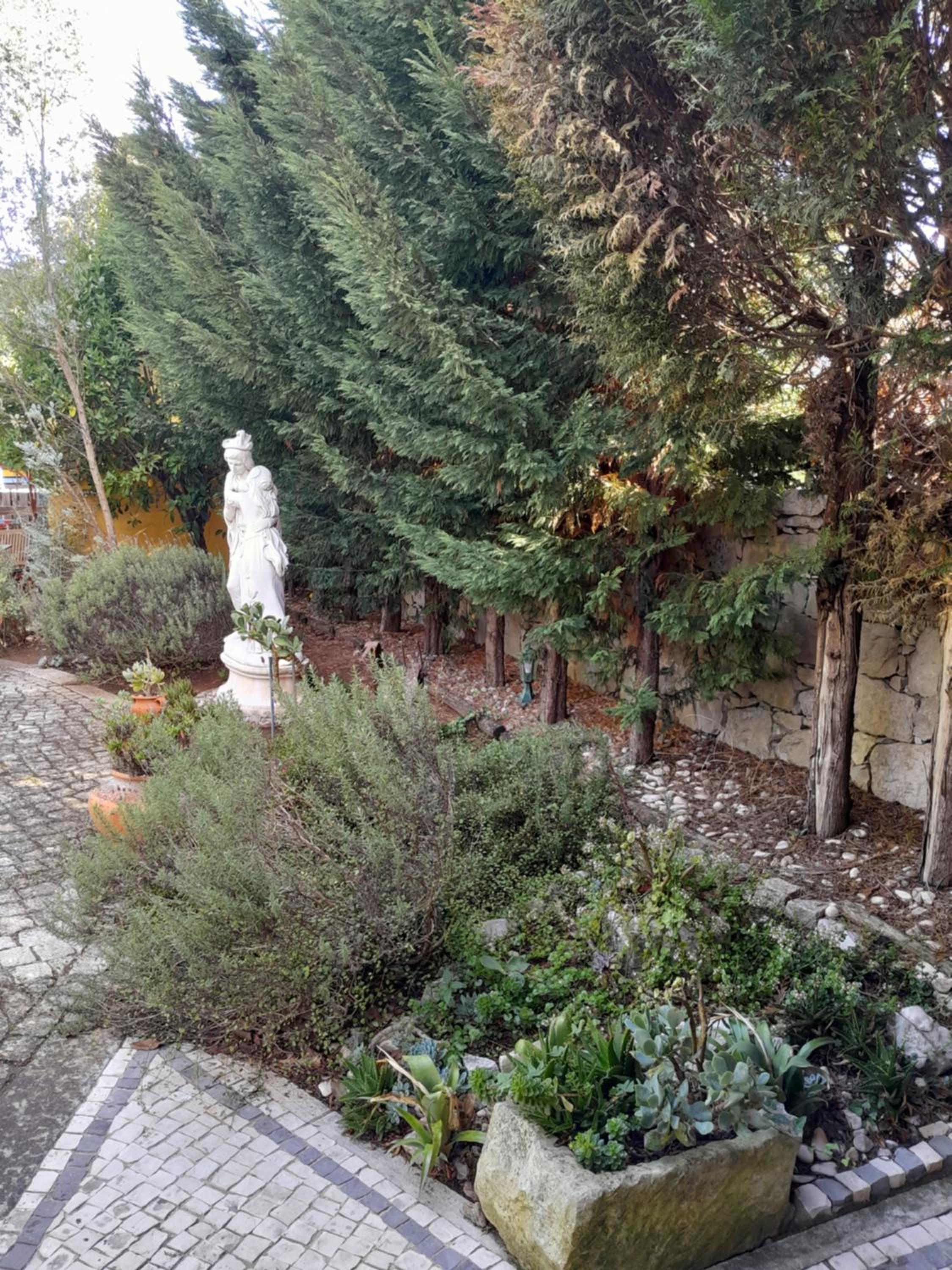 Photo 51