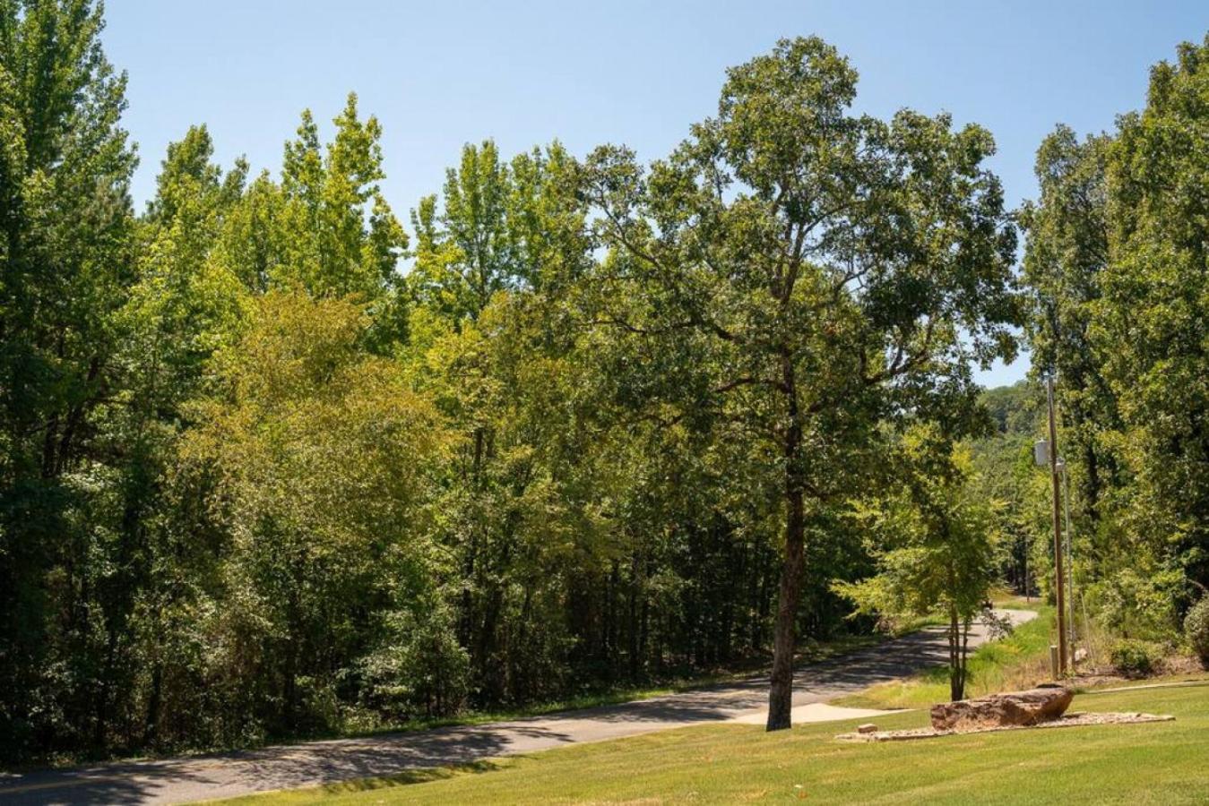 Russellville Vacations - Timothys Timber Haven - Property Image 14