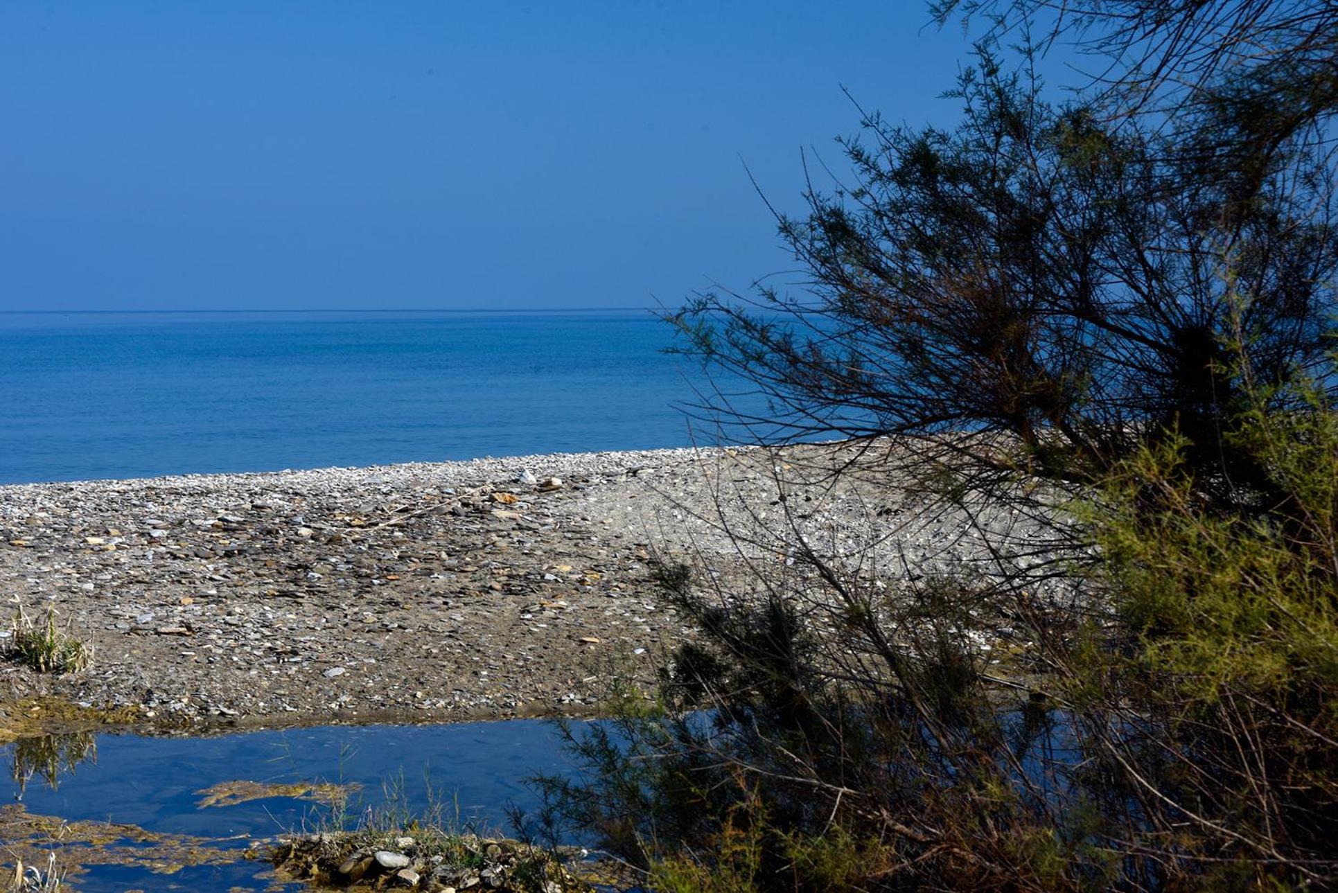 Endless green 1 Arethousa Ikaria