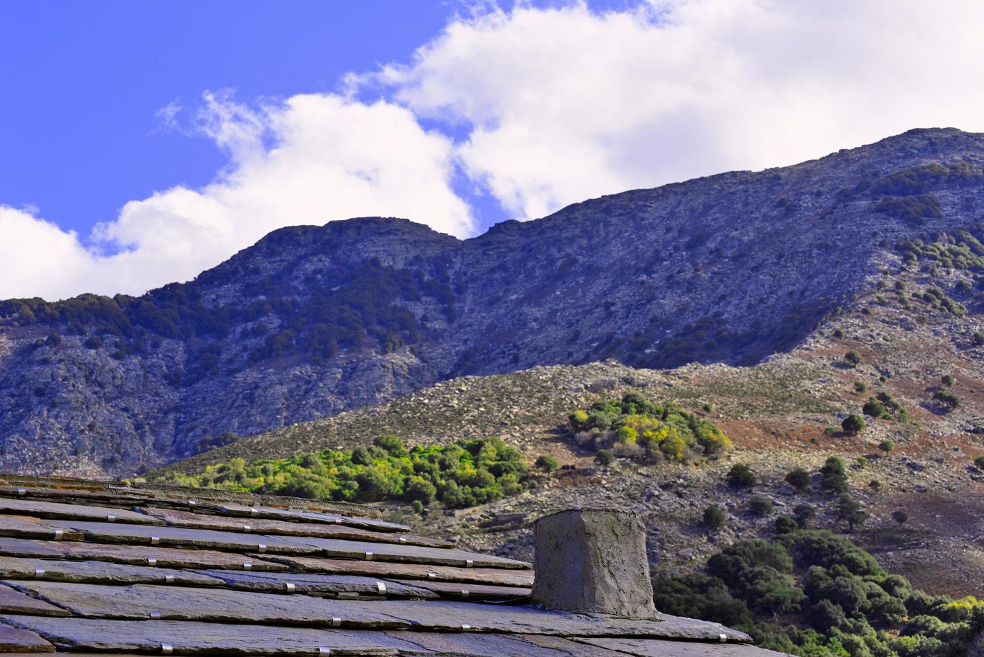 Endless green 1 Arethousa Ikaria