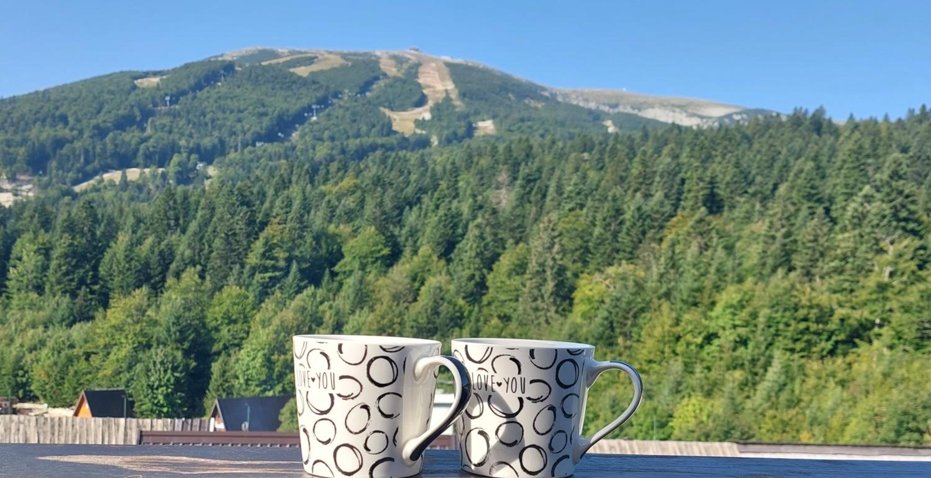 Family view
