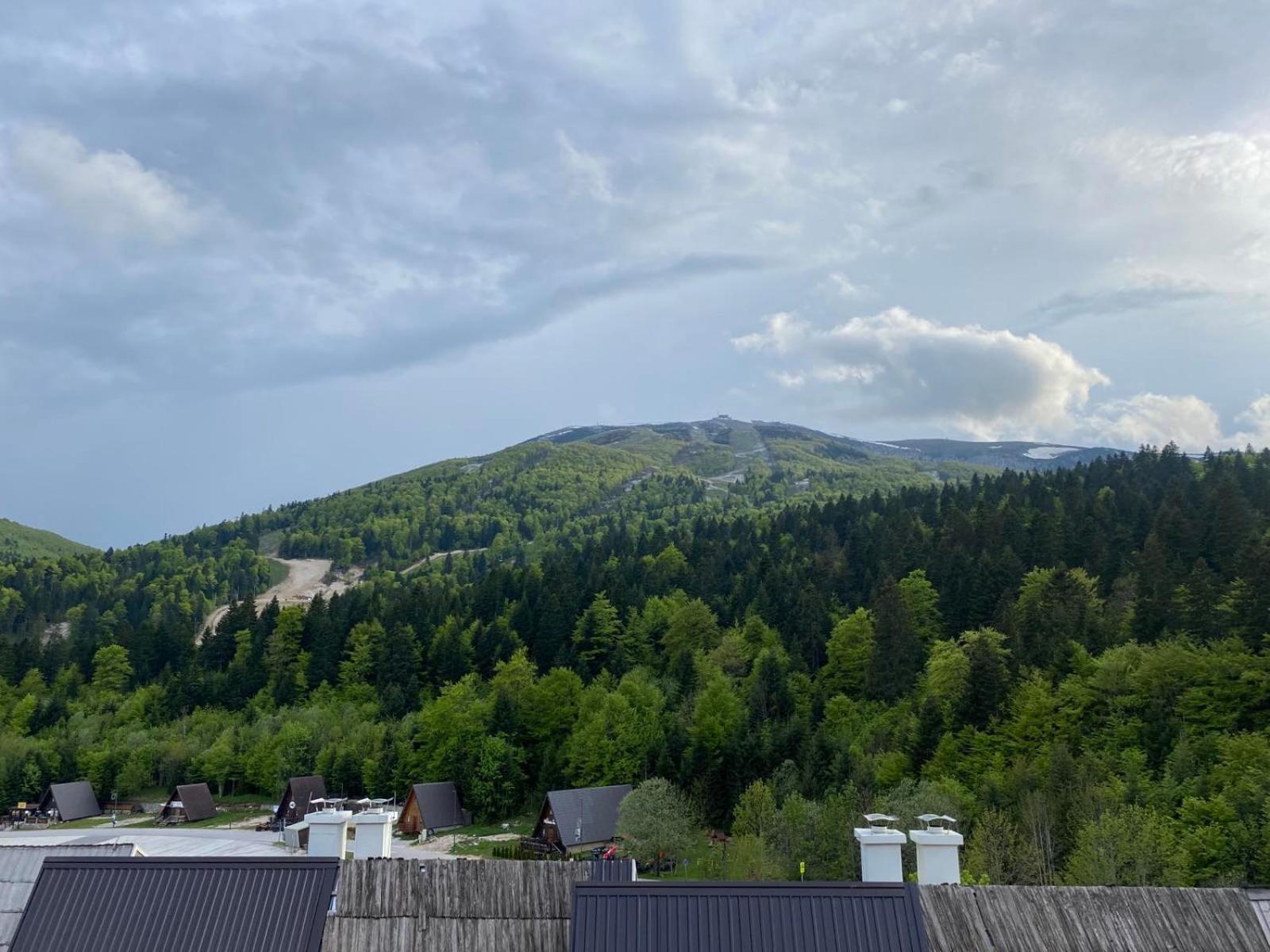 Family view