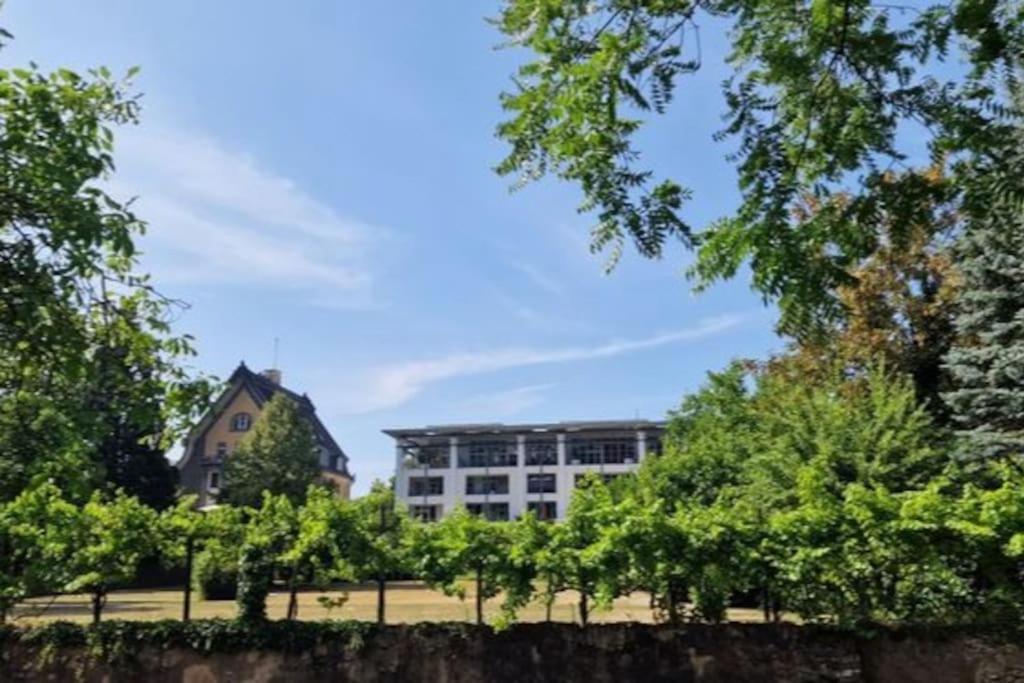 Penthouse mit Moselblick