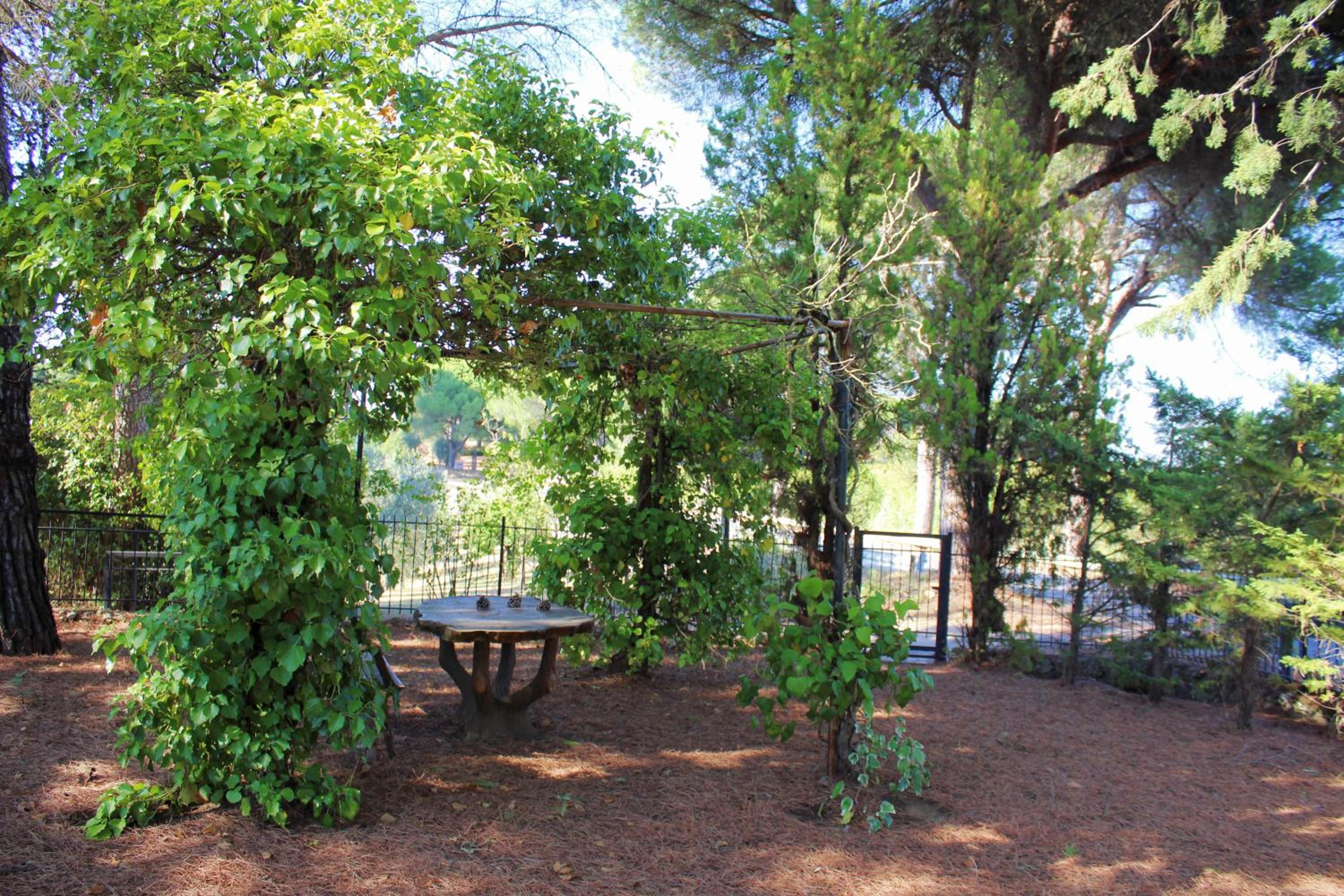il nuvoloso photo 2