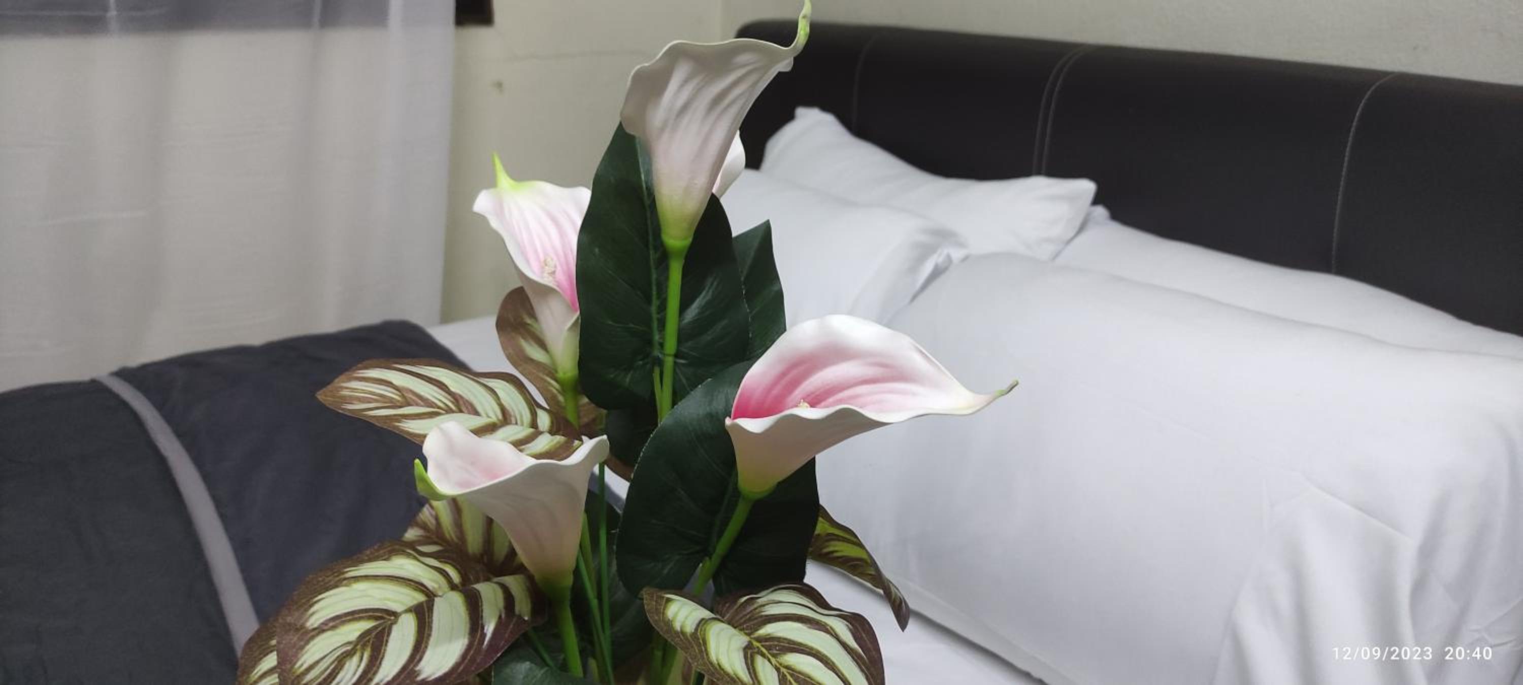 HOMESTAY ALORSETAR TOWNCENTRE by ASTARILA GUESTHOUSE-AmanCentral -iSLAM SAHAJA - 2storey Banglo, Private Pool, BBQ area & sports - max 30pax photo 7