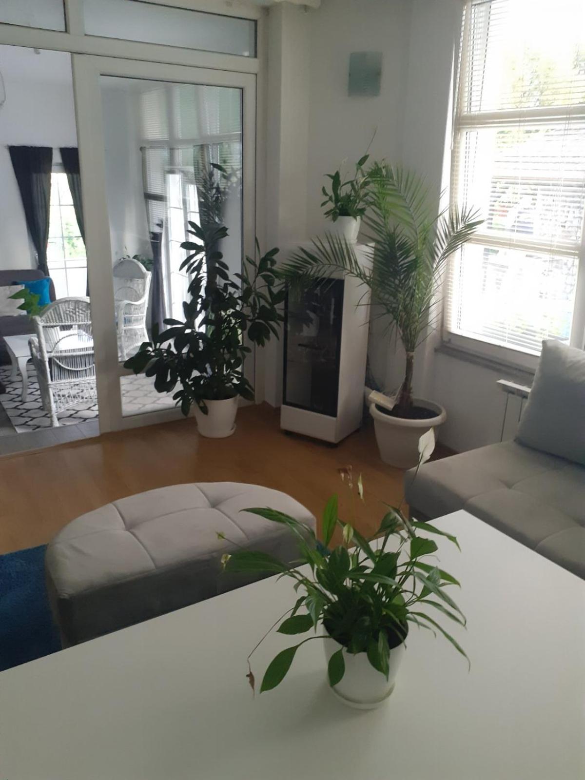 Garden- pool apartman