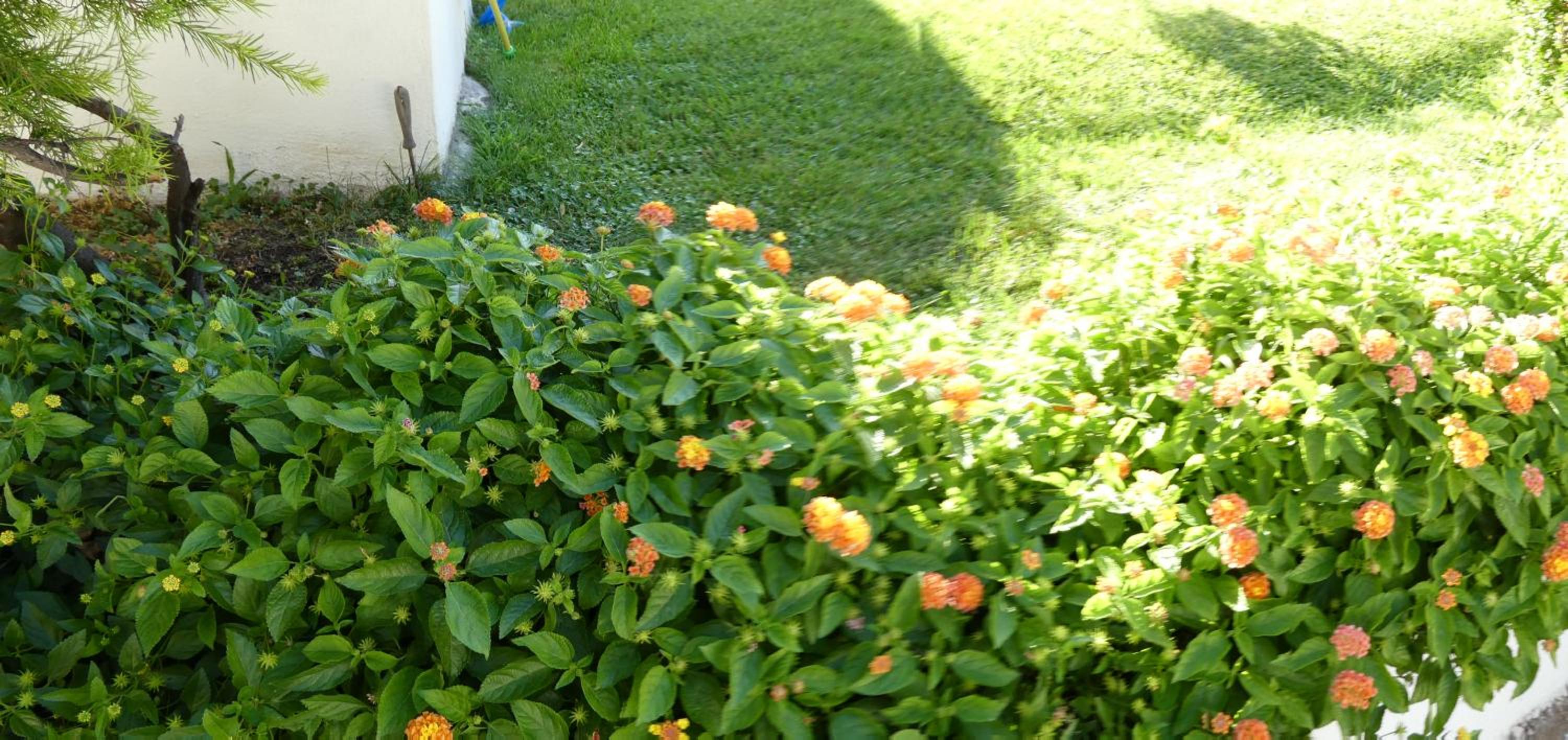 Photo 30