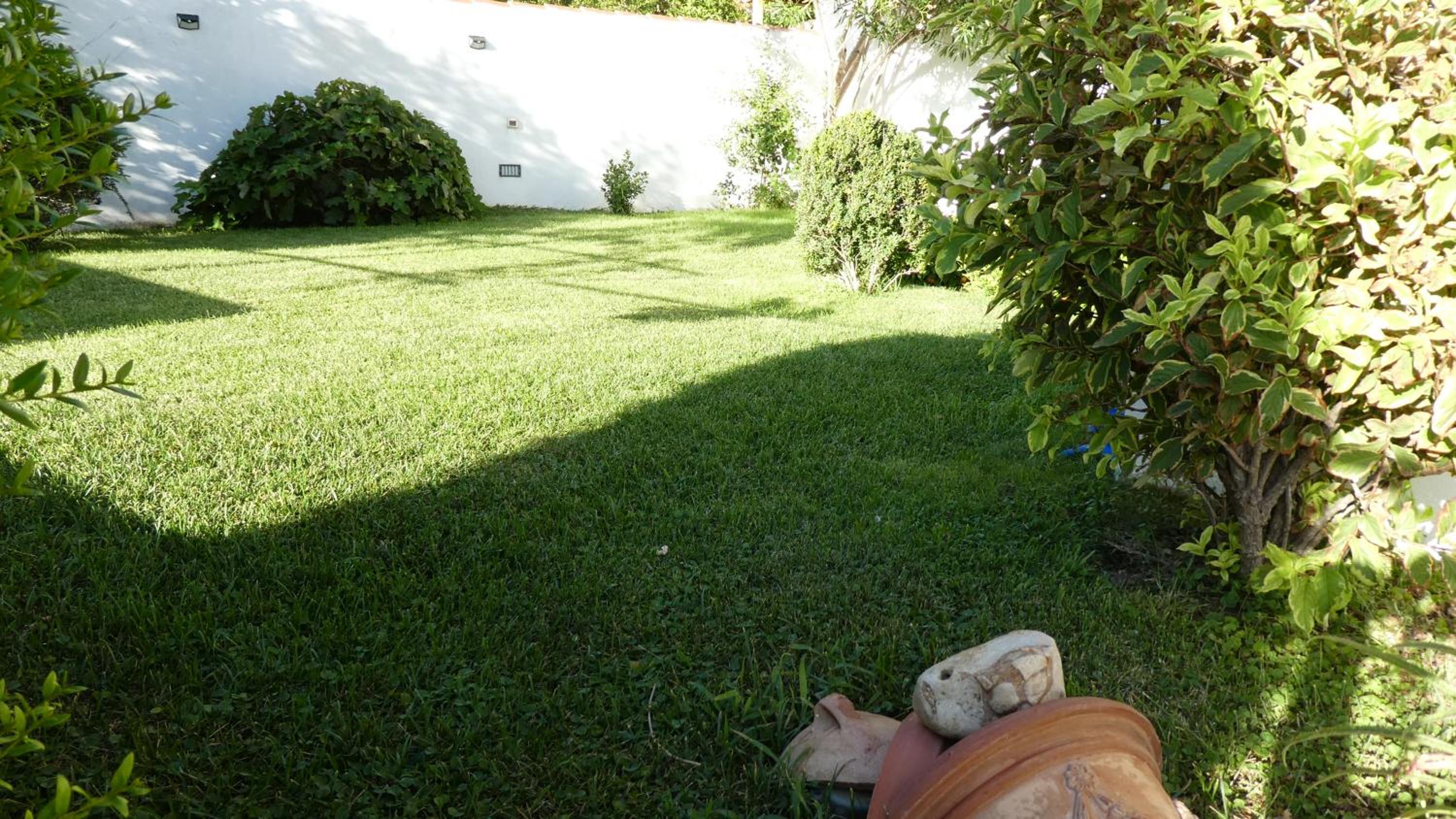 Photo 37