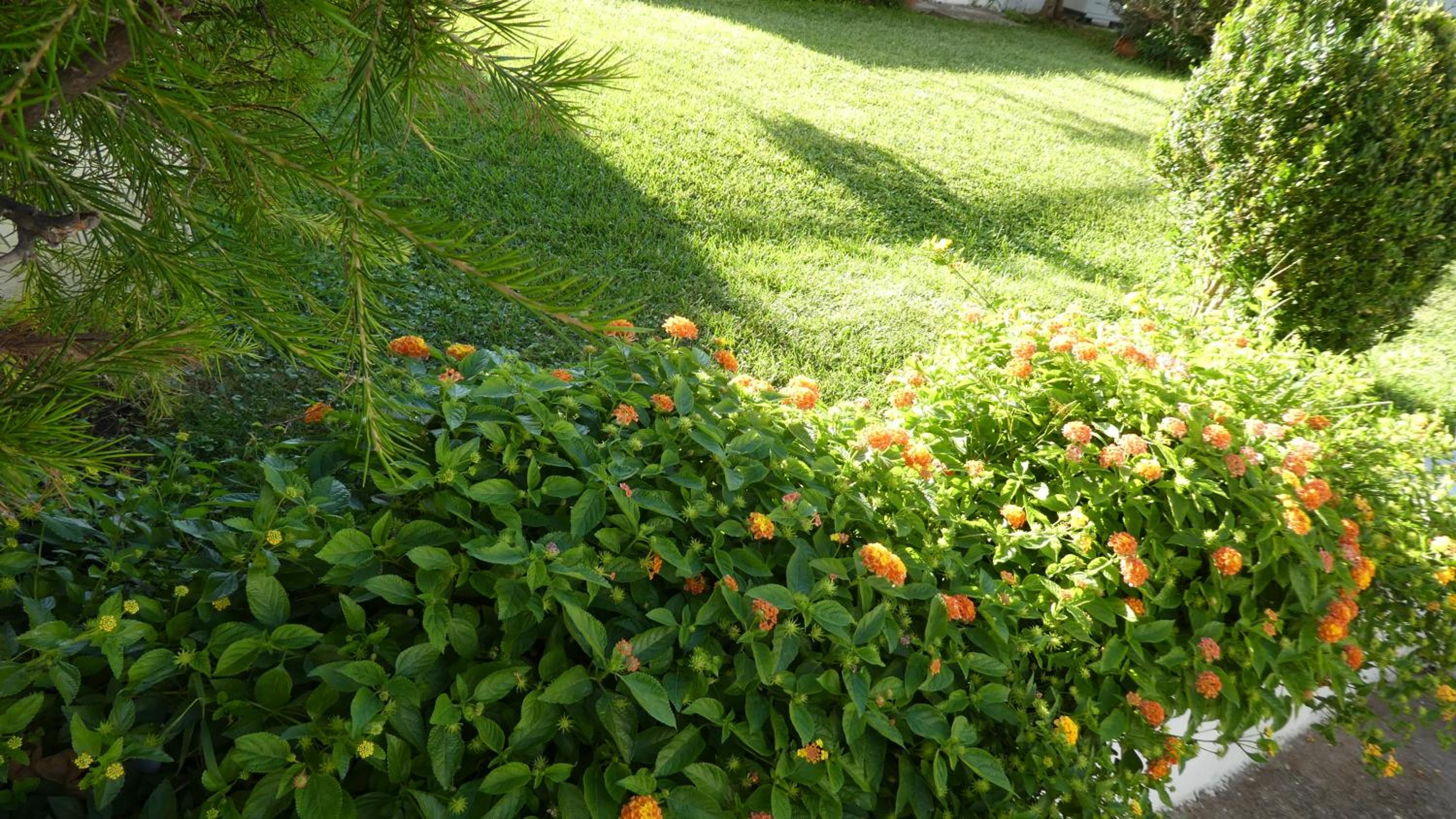 Photo 44