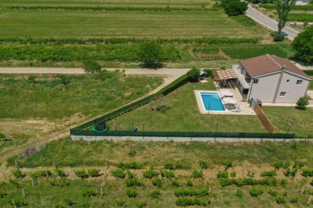 Sunny valley view 5