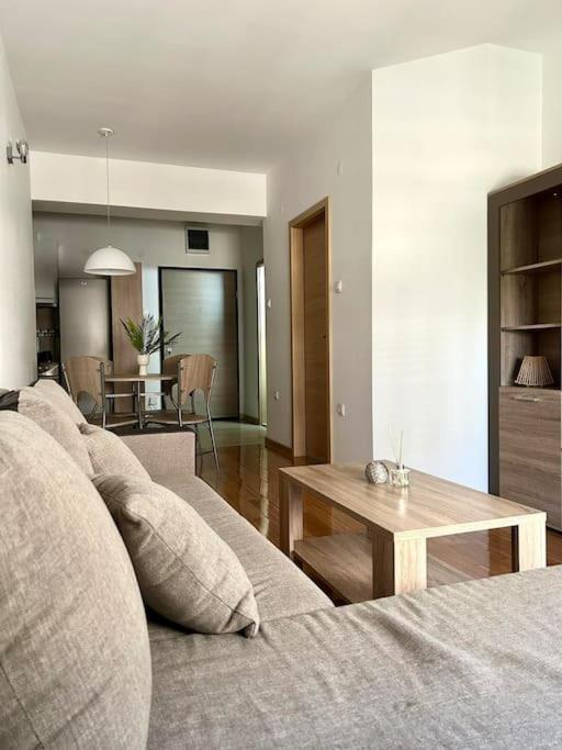 Urban City Apartment