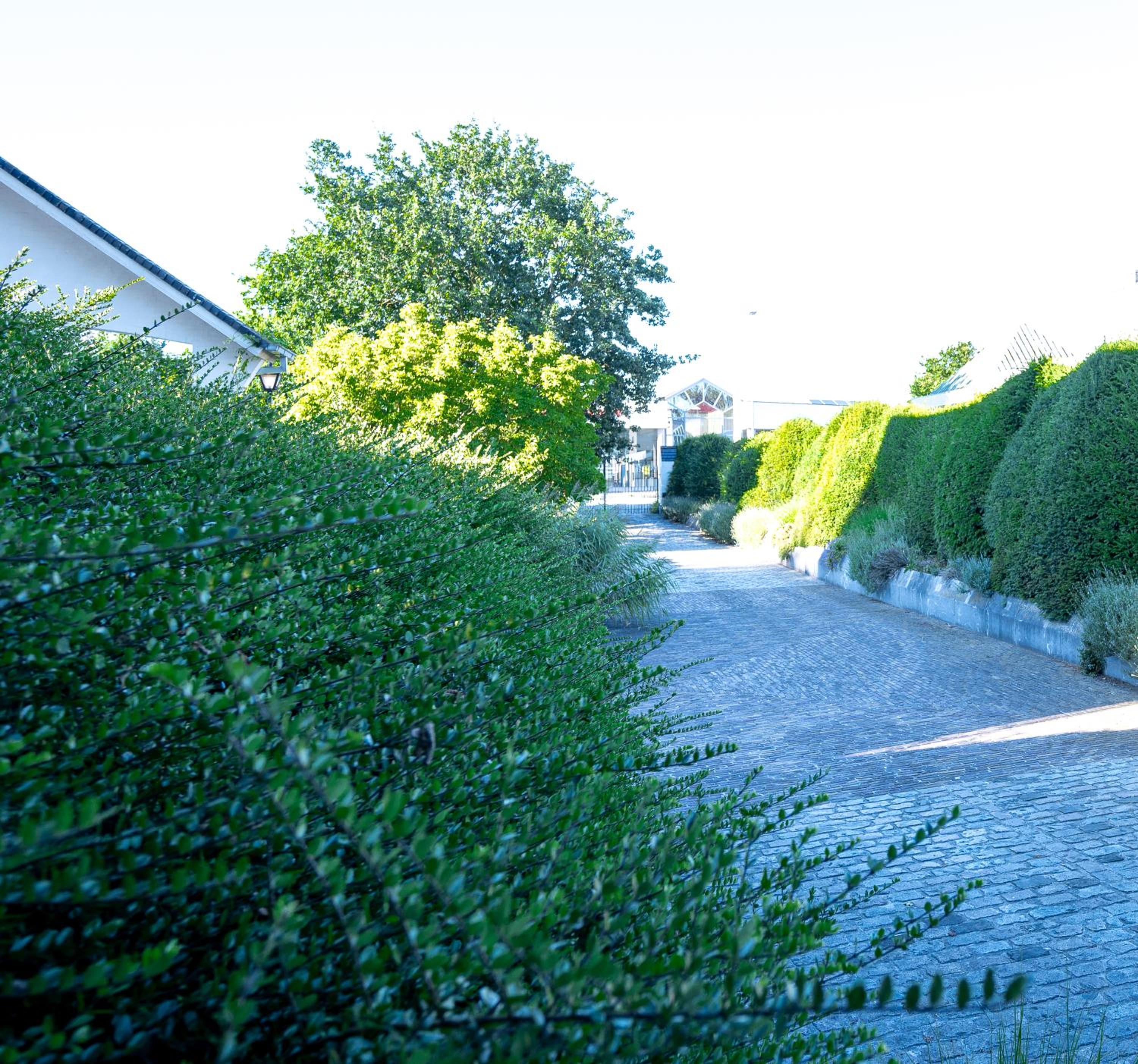 De Boter Villa