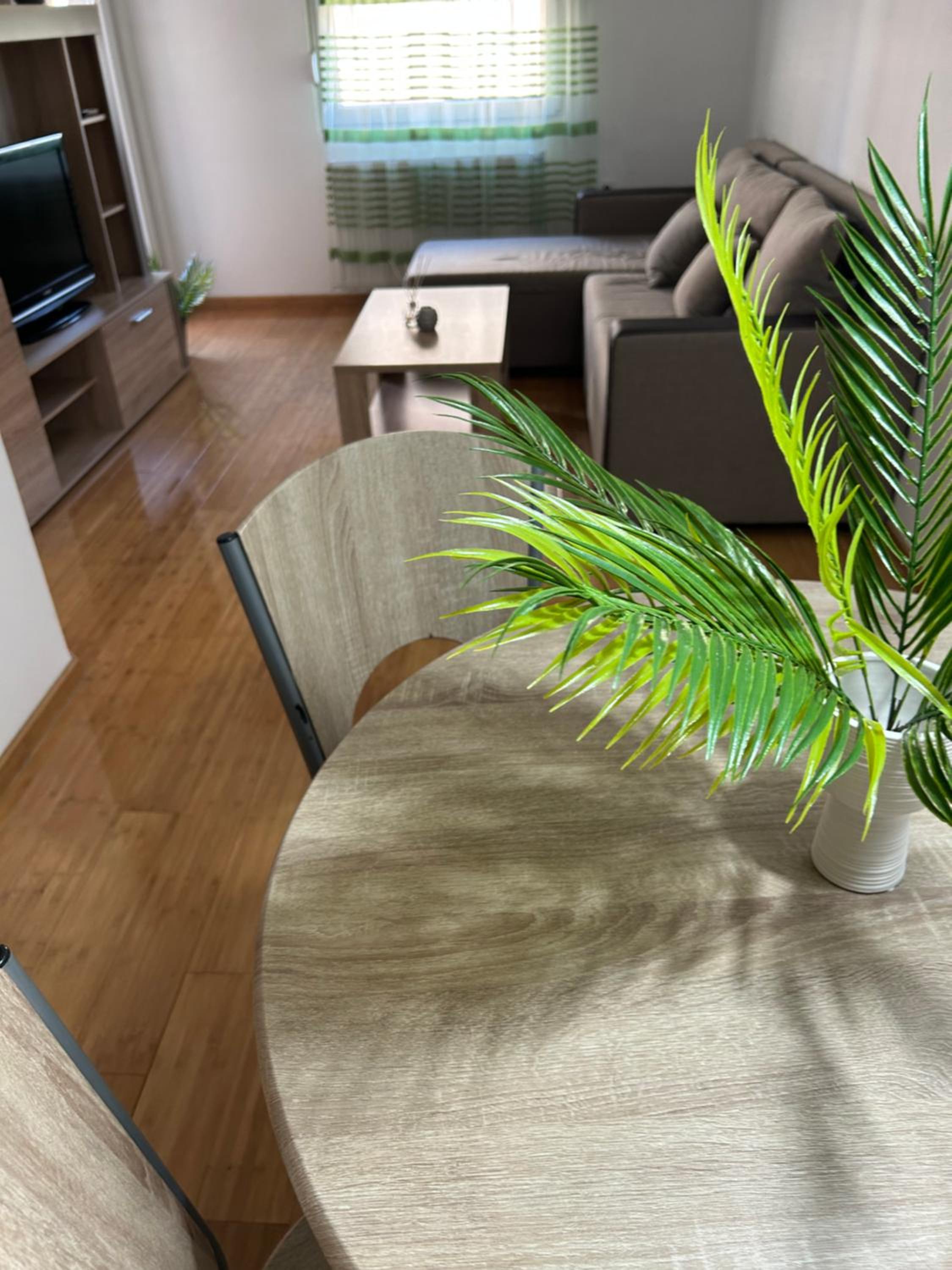 Urban City Apartment