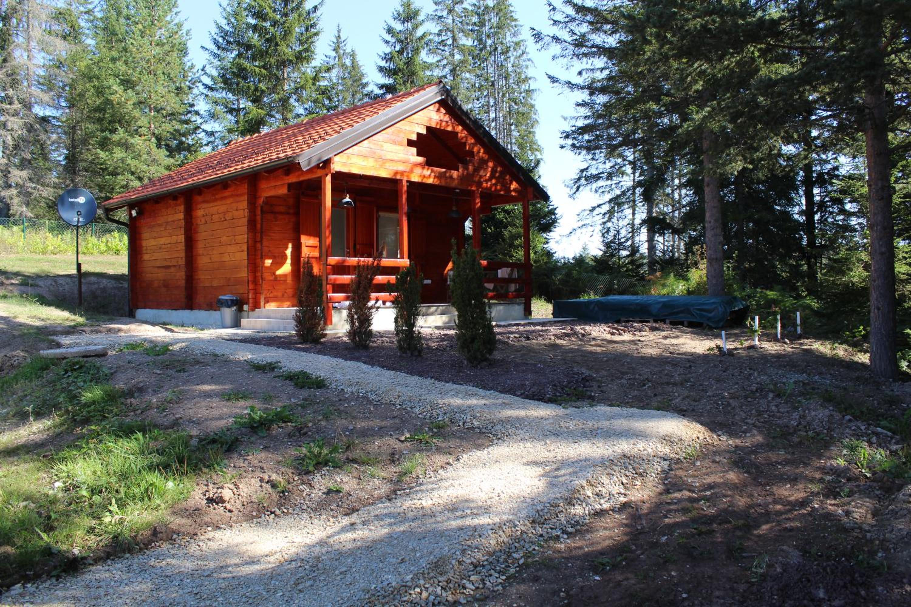 Photo 10