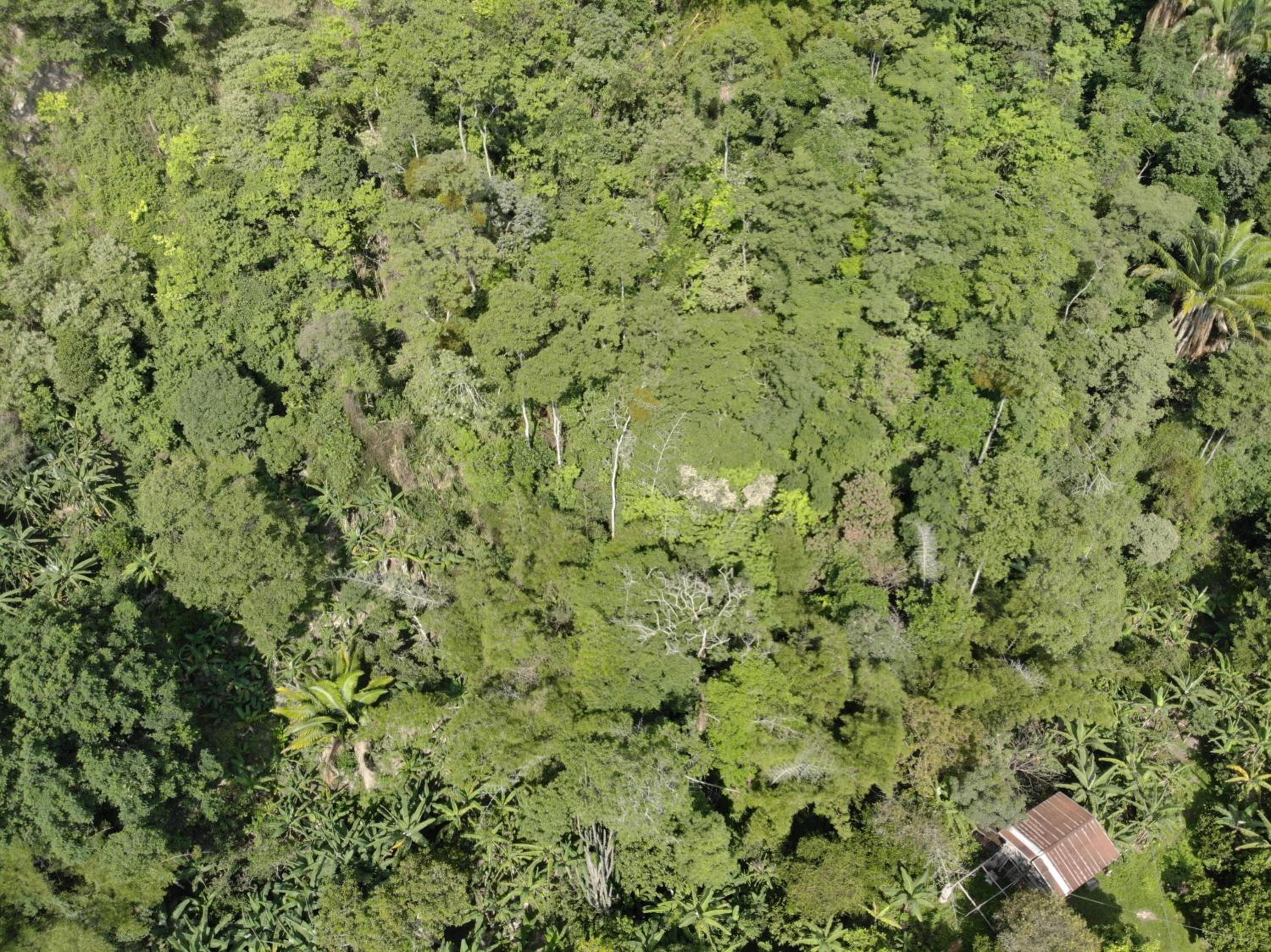 Red art house en reserva natural