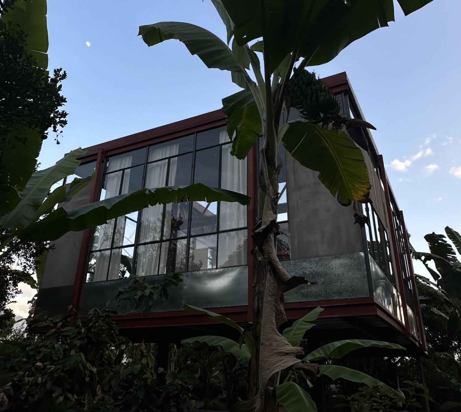 Red art house en reserva natural