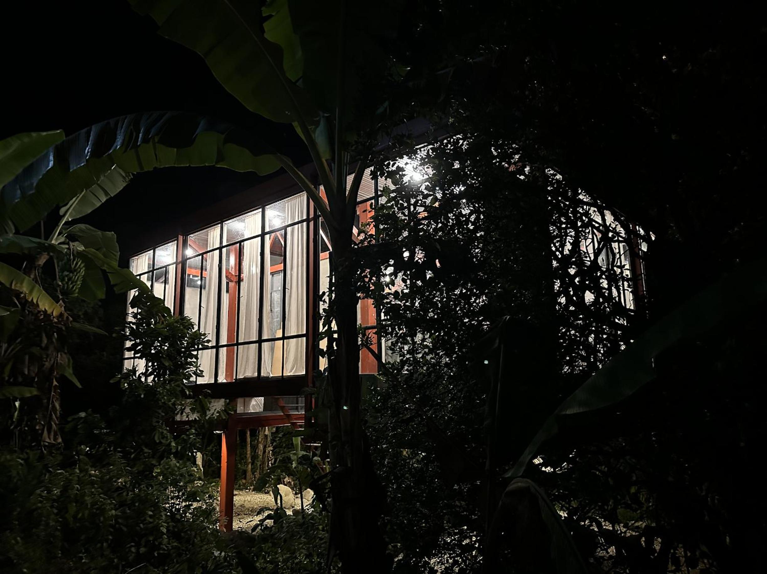 Red art house en reserva natural