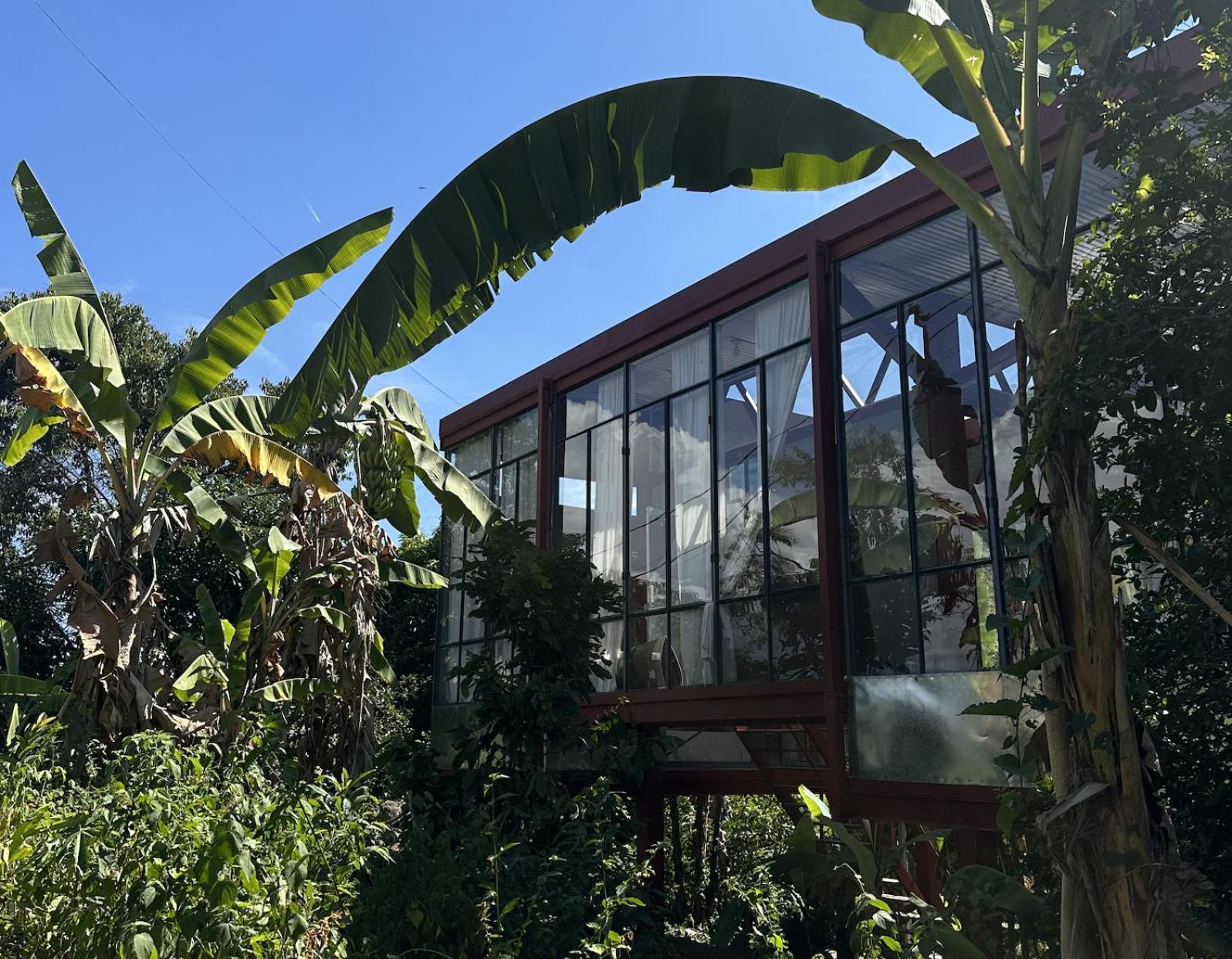 Red art house en reserva natural