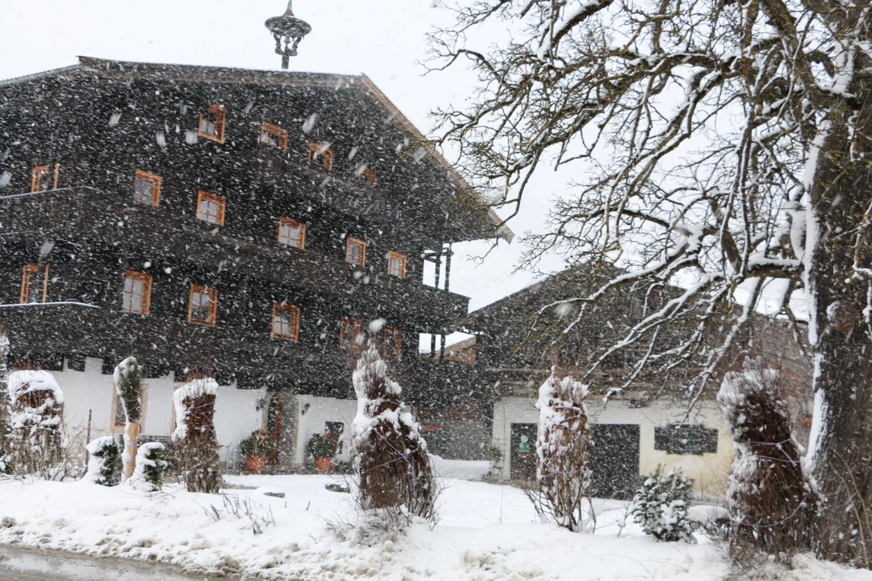 Matzhof