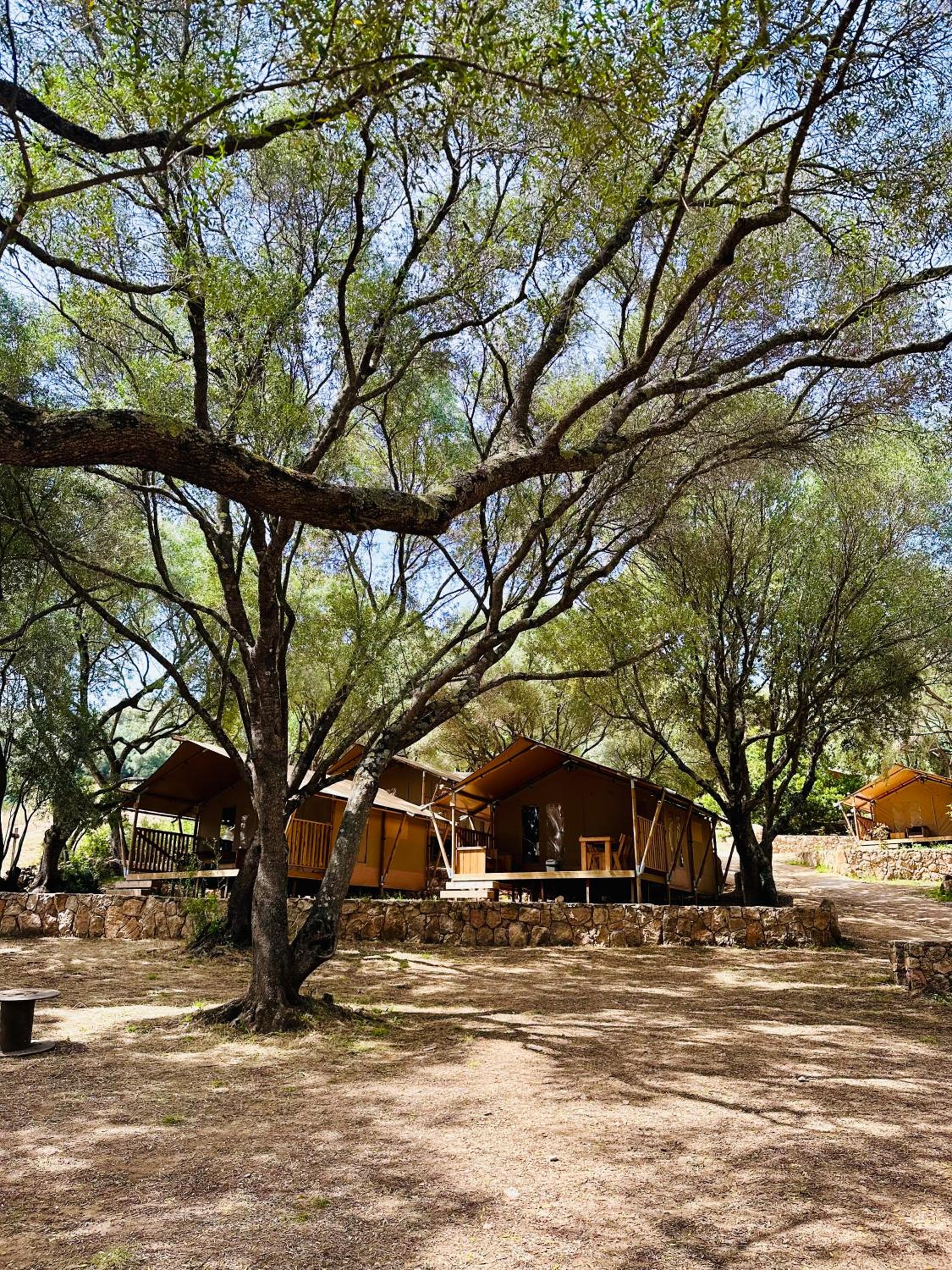 Camping Vigna Maggiore
