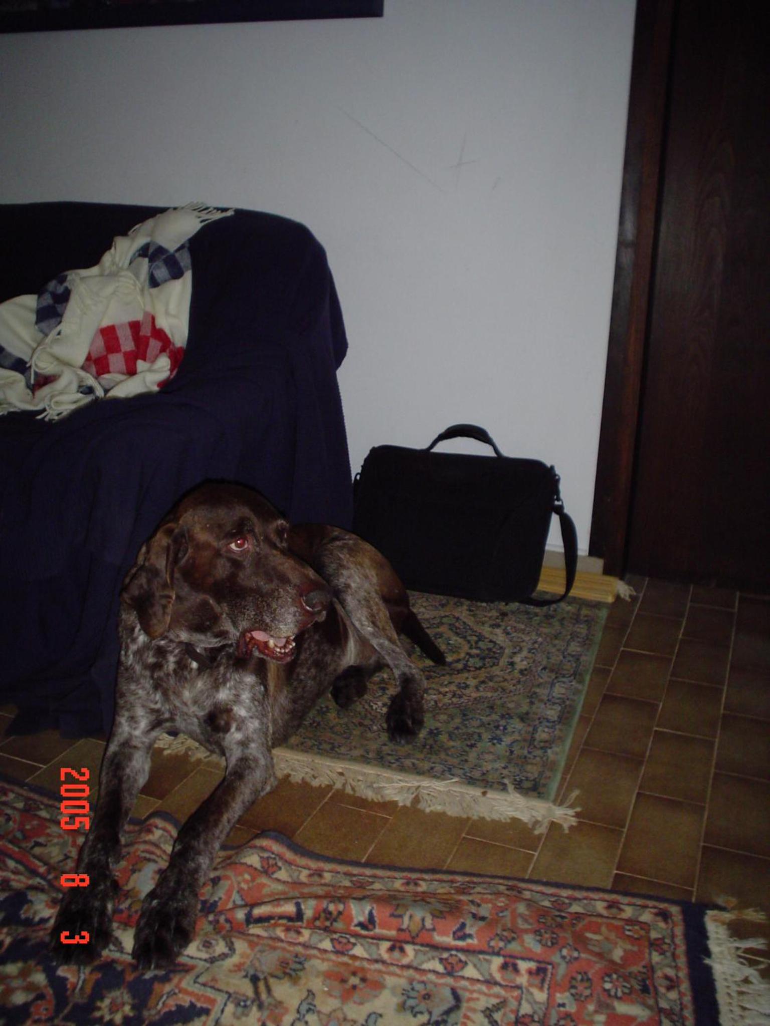 Photo 86