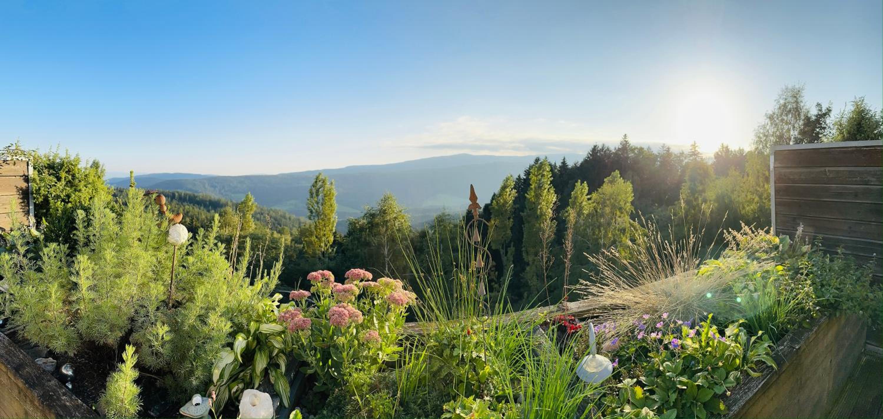 Almblick in ruhiger Lage