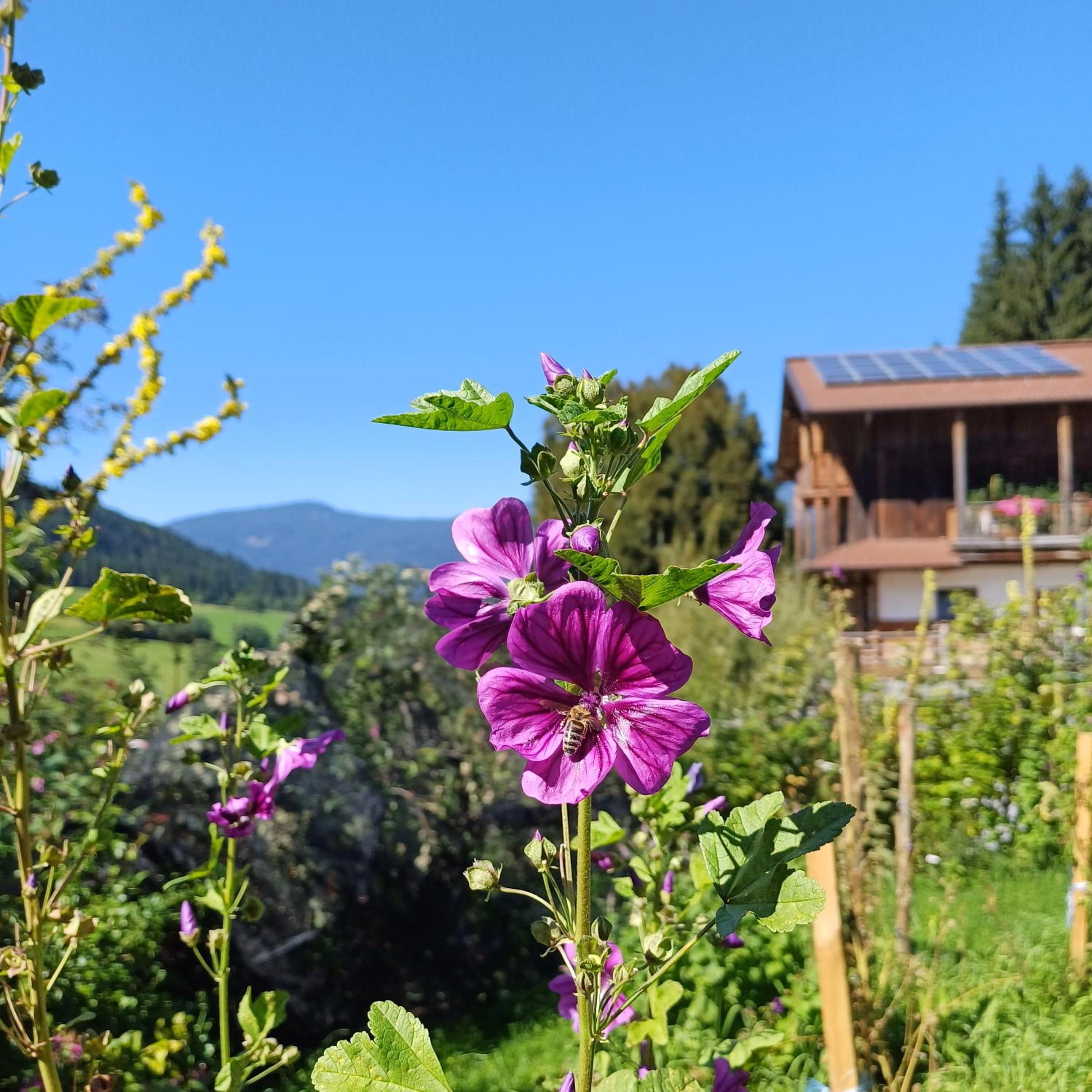 Tiny House am Steinergut