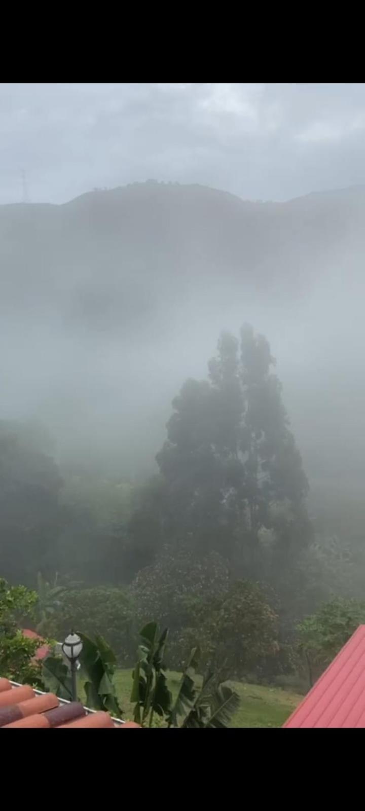 Finca la Galicia.