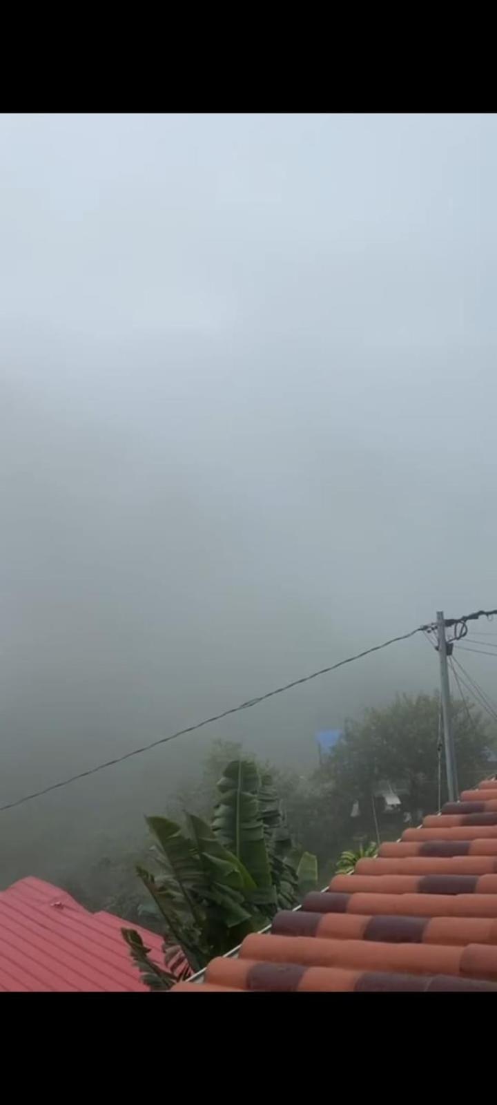 Finca la Galicia.