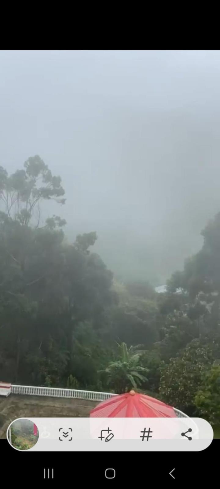 Finca la Galicia.
